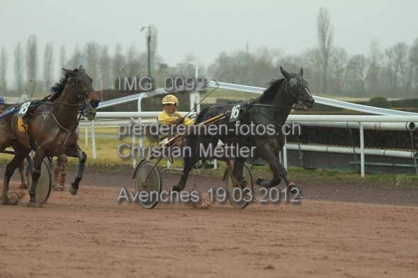 IMG 0092 prot