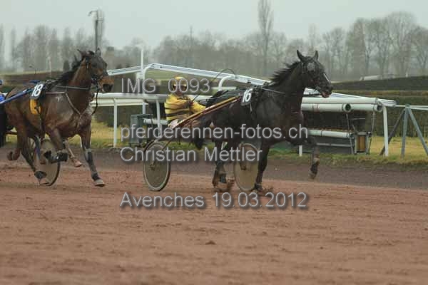 IMG 0093 prot