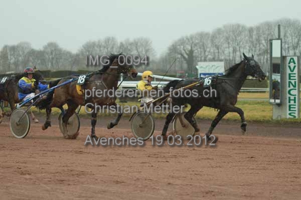 IMG 0094 prot
