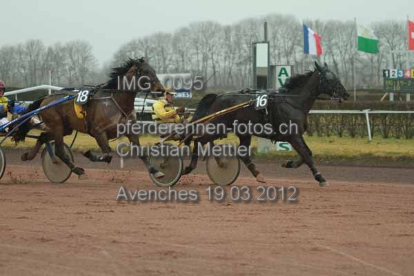 IMG 0095 prot