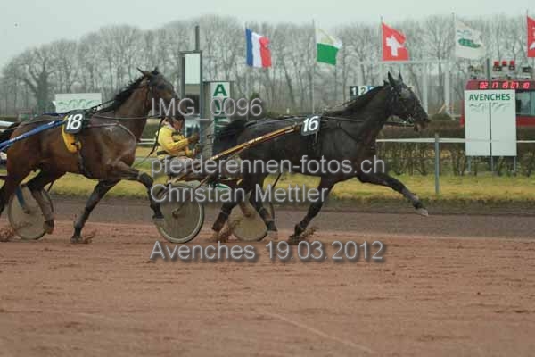 IMG 0096 prot