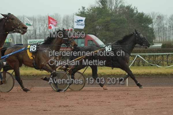 IMG 0099 prot
