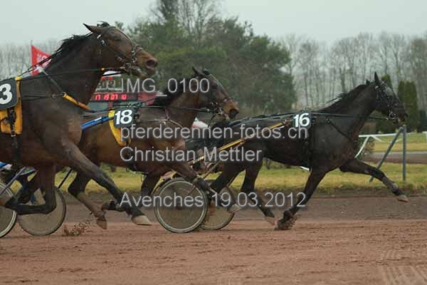 IMG 0100 prot