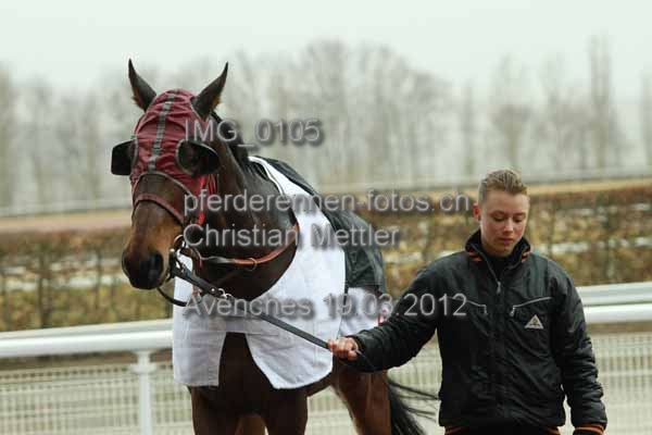 IMG 0105 prot
