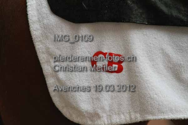 IMG 0109 prot