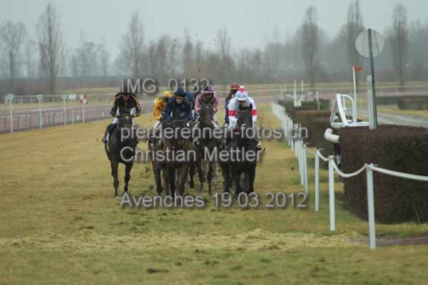 IMG 0132 prot