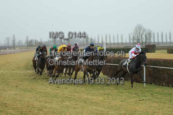 IMG 0144 prot