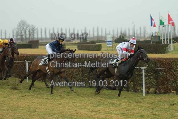 IMG 0147 prot