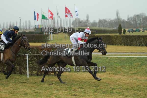 IMG 0149 prot