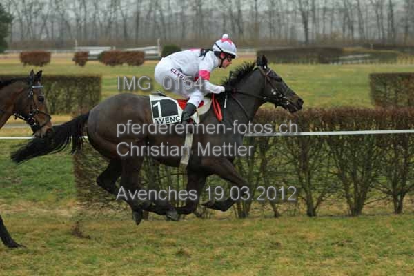 IMG 0154 prot