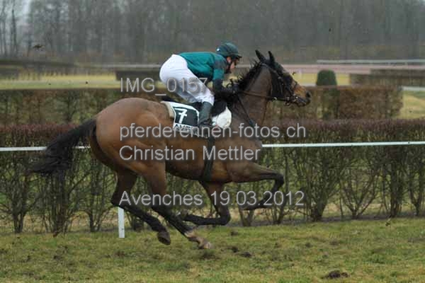 IMG 0157 prot
