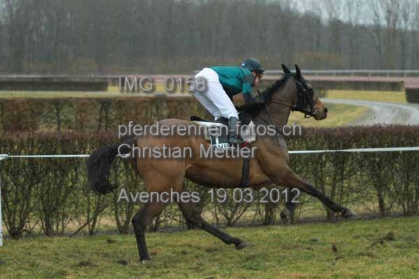 IMG 0158 prot
