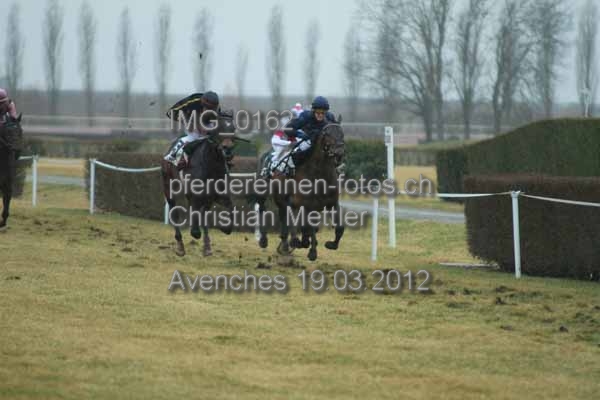 IMG 0162 prot