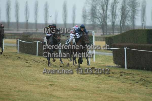 IMG 0163 prot