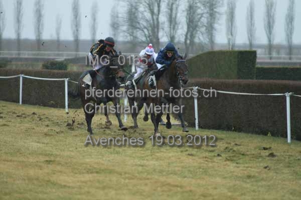 IMG 0165 prot