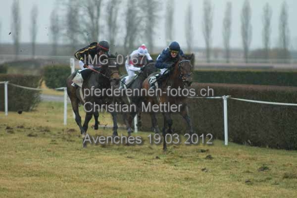 IMG 0167 prot