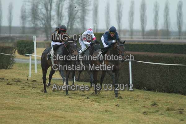 IMG 0168 prot