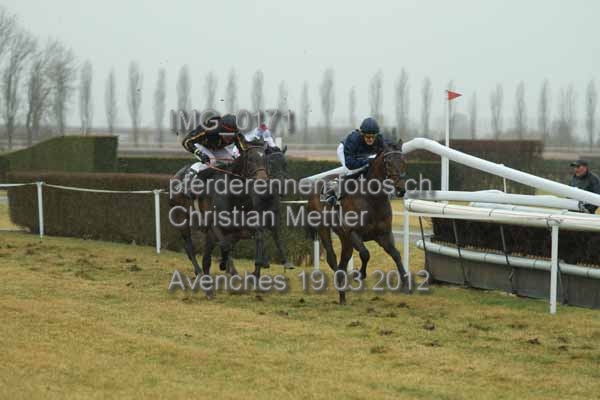IMG 0171 prot