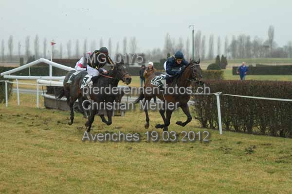 IMG 0175 prot