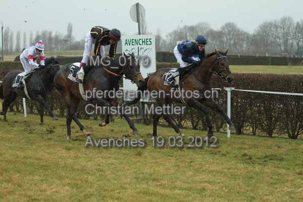 IMG 0179 prot