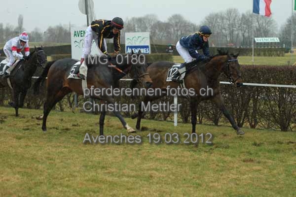 IMG 0180 prot