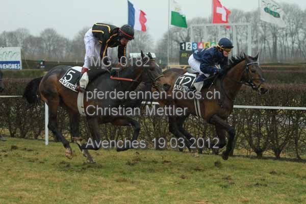 IMG 0182 prot