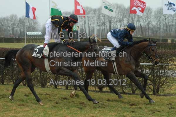 IMG 0183 prot
