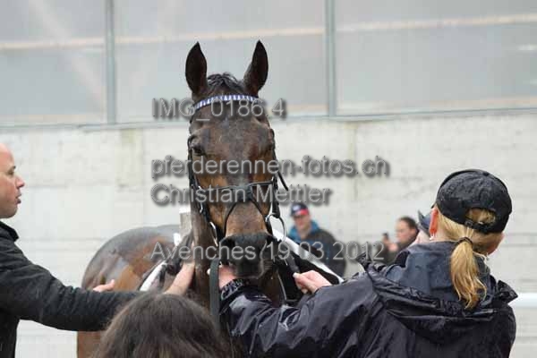 IMG 0186.4 prot