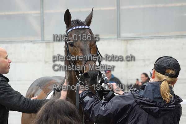 IMG 0186.5 prot