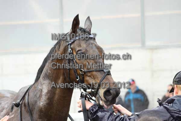 IMG 0186.7 prot