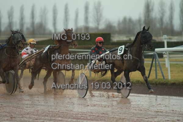 IMG 0193 prot