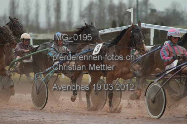 IMG 0195 prot