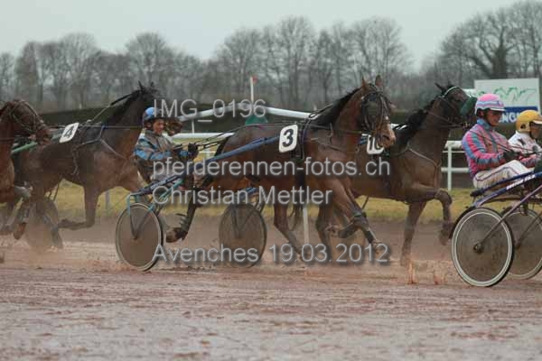 IMG 0196 prot