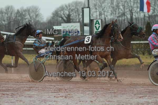 IMG 0198 prot