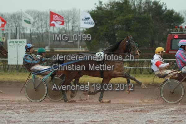 IMG 0199 prot