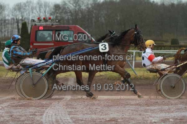 IMG 0201 prot