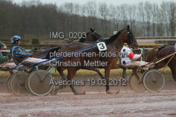 IMG 0203 prot