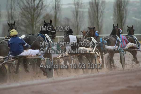 IMG 0206 prot