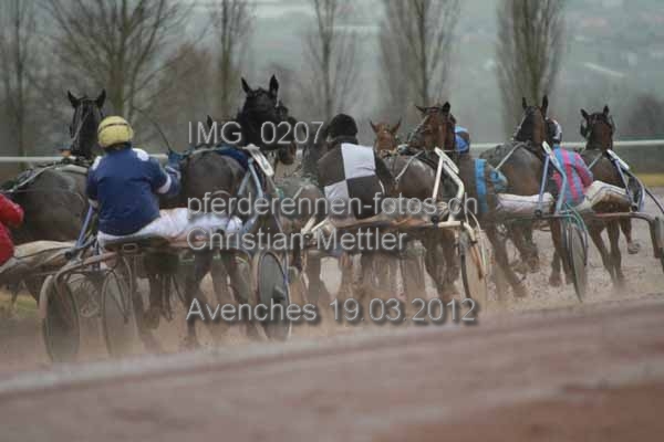 IMG 0207 prot