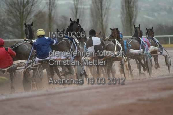 IMG 0208 prot