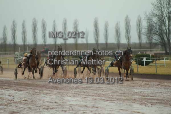 IMG 0212 prot
