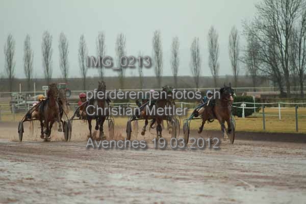 IMG 0213 prot