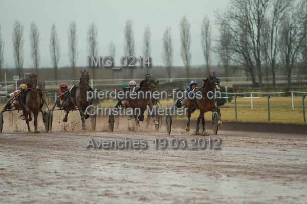 IMG 0214 prot