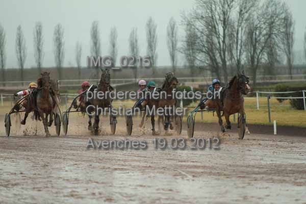 IMG 0215 prot