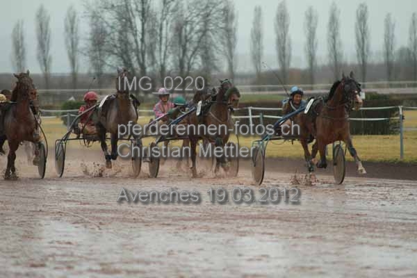 IMG 0220 prot