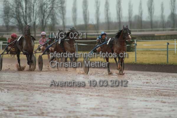 IMG 0221 prot
