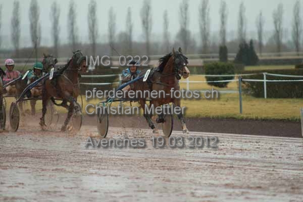IMG 0222 prot