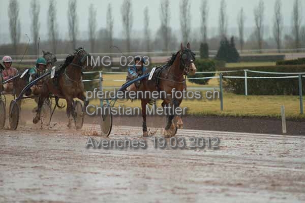 IMG 0223 prot