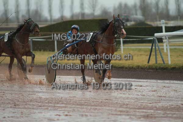 IMG 0227 prot