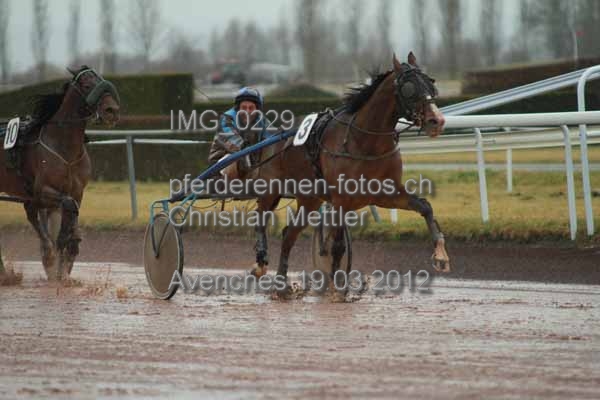 IMG 0229 prot